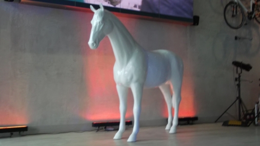 KOŃ WHITE